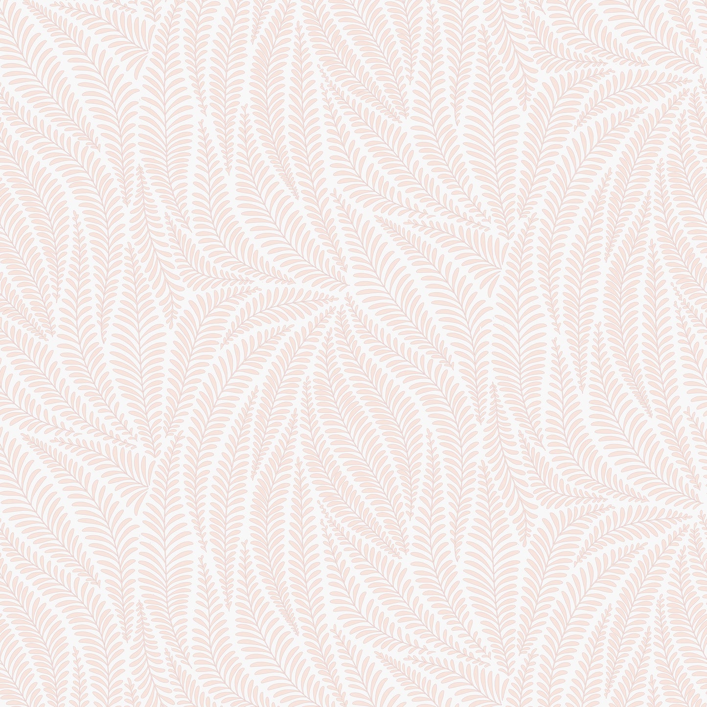 Acacia Soft Peach on Mist Grey Wallpaper