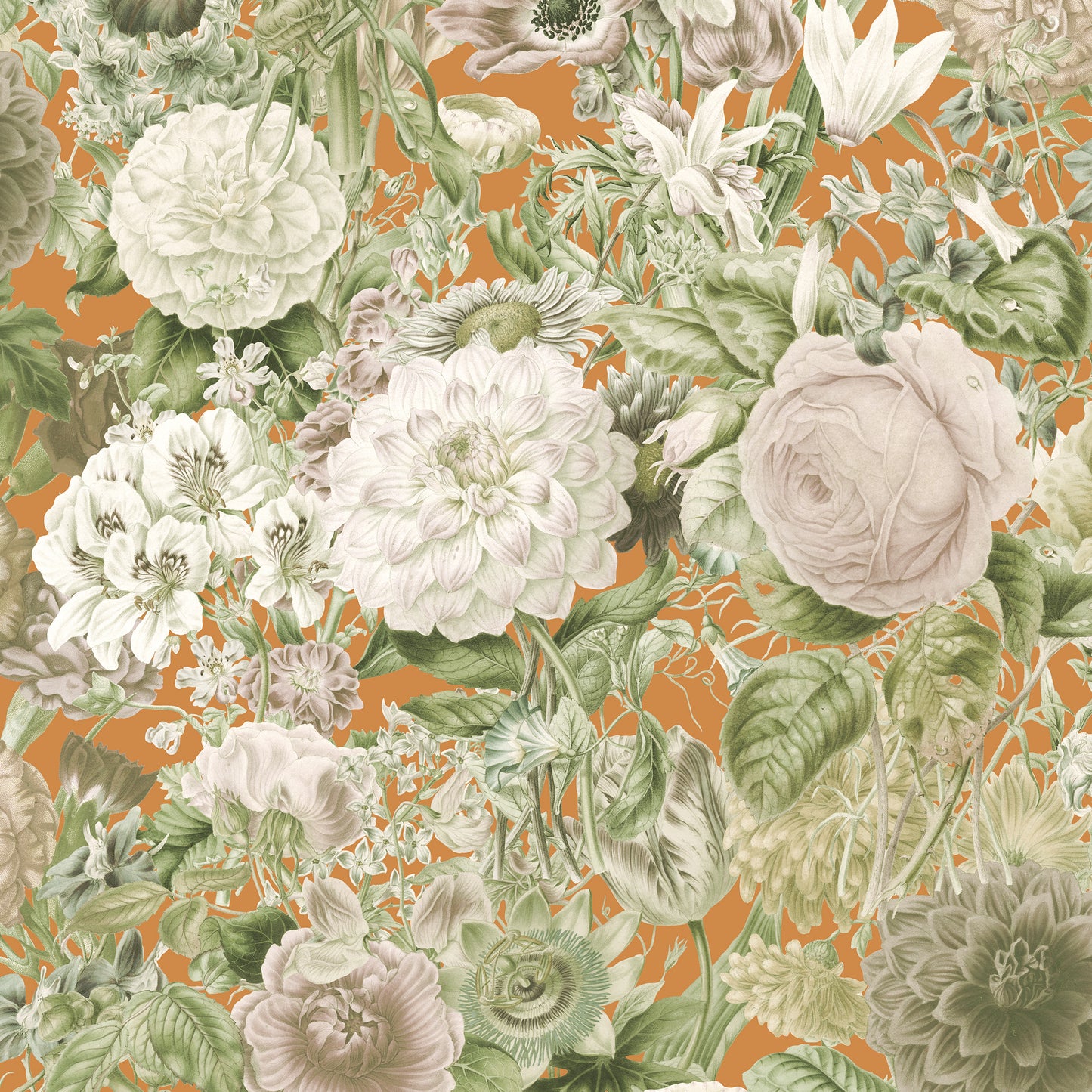 Papier peint mousse floribunda sur citrouille