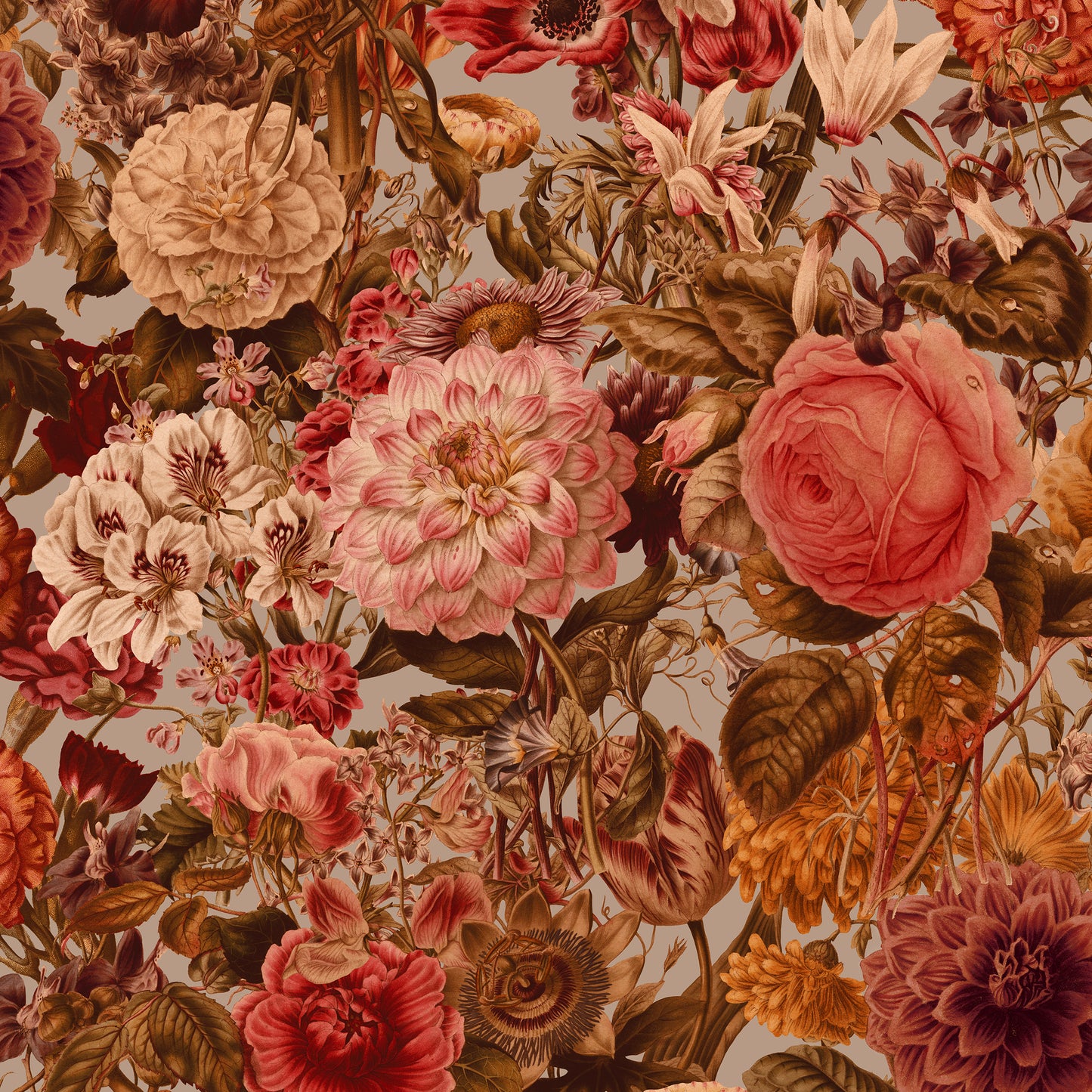 Floribunda Sundown Wallpaper
