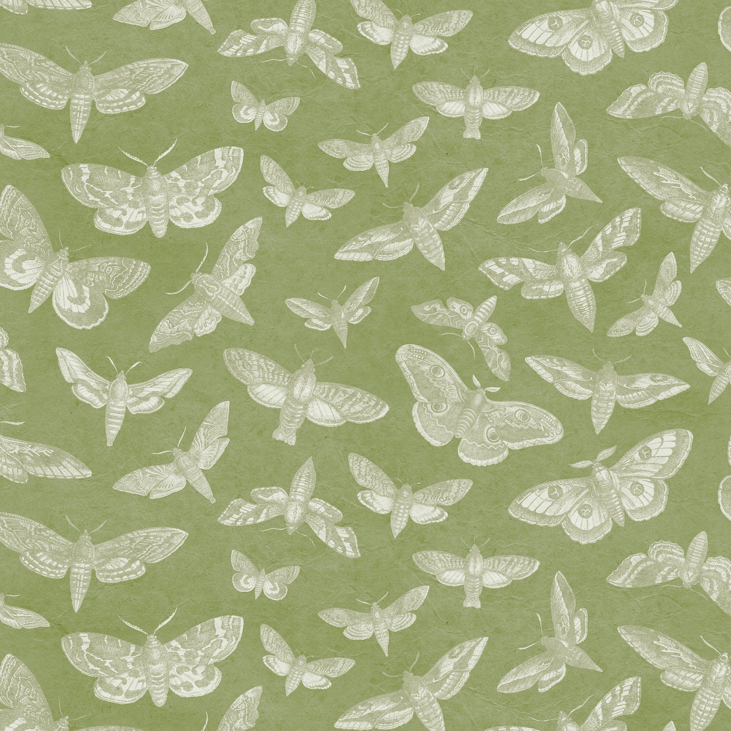 Arts & Crafts Papier peint Aqua Blues