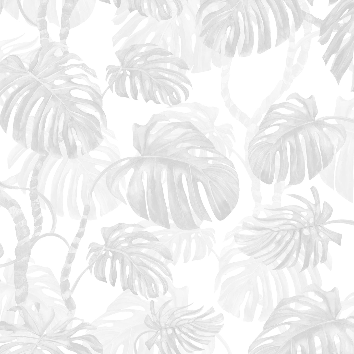 Monstera Mist Wallpaper