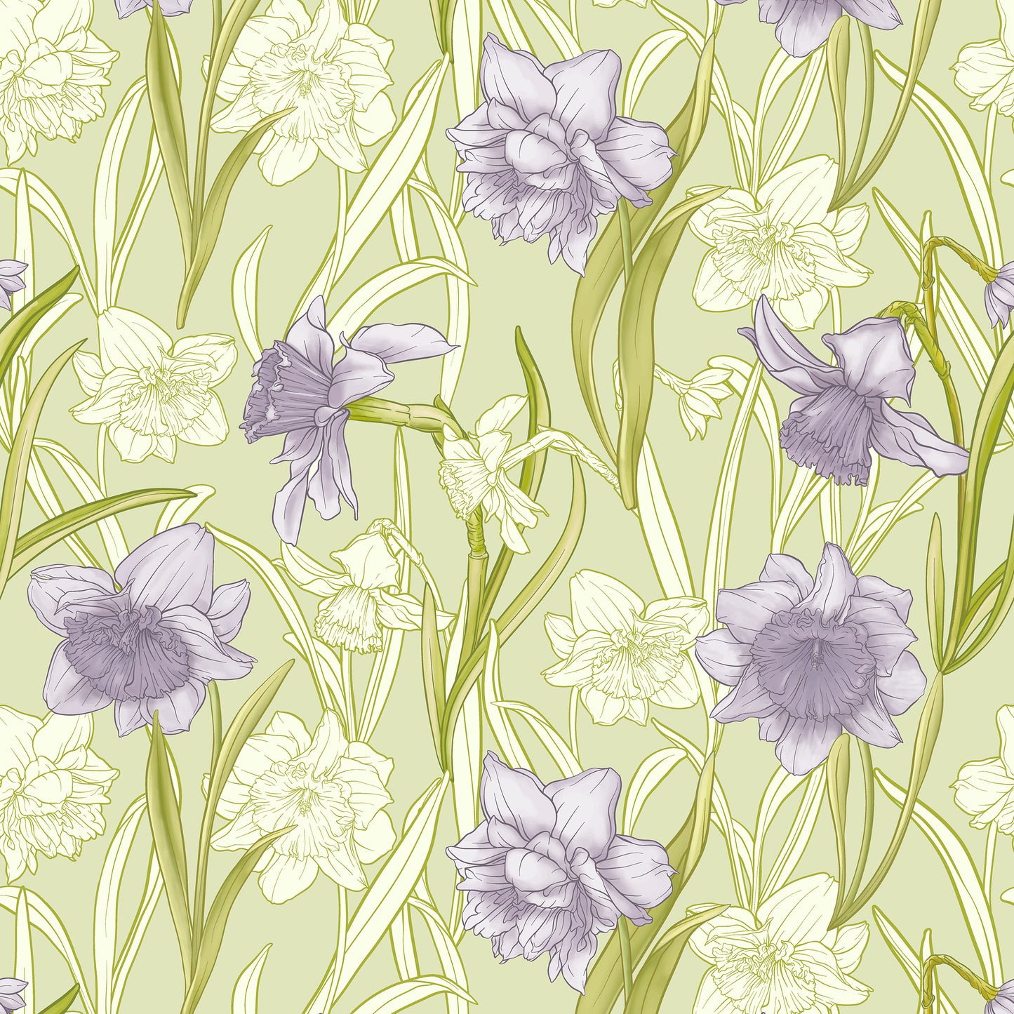 Narcissi Dewberry Wallpaper