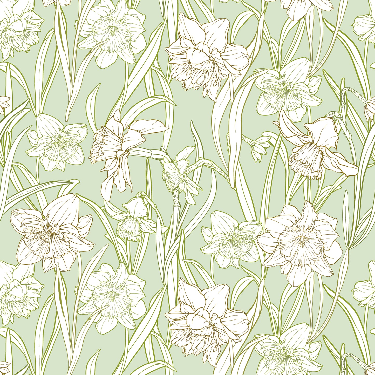 Narcissi Mint Wallpaper