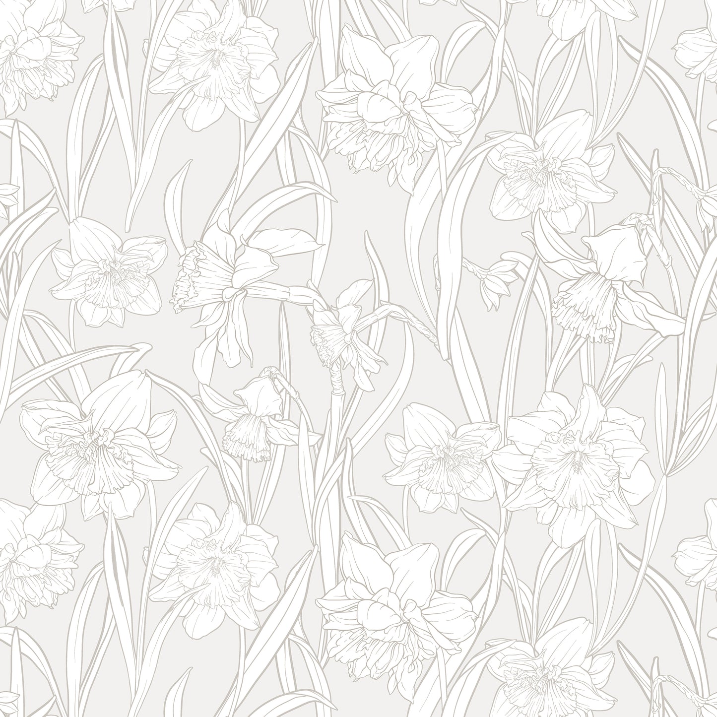 Narcissi Stone Wallpaper