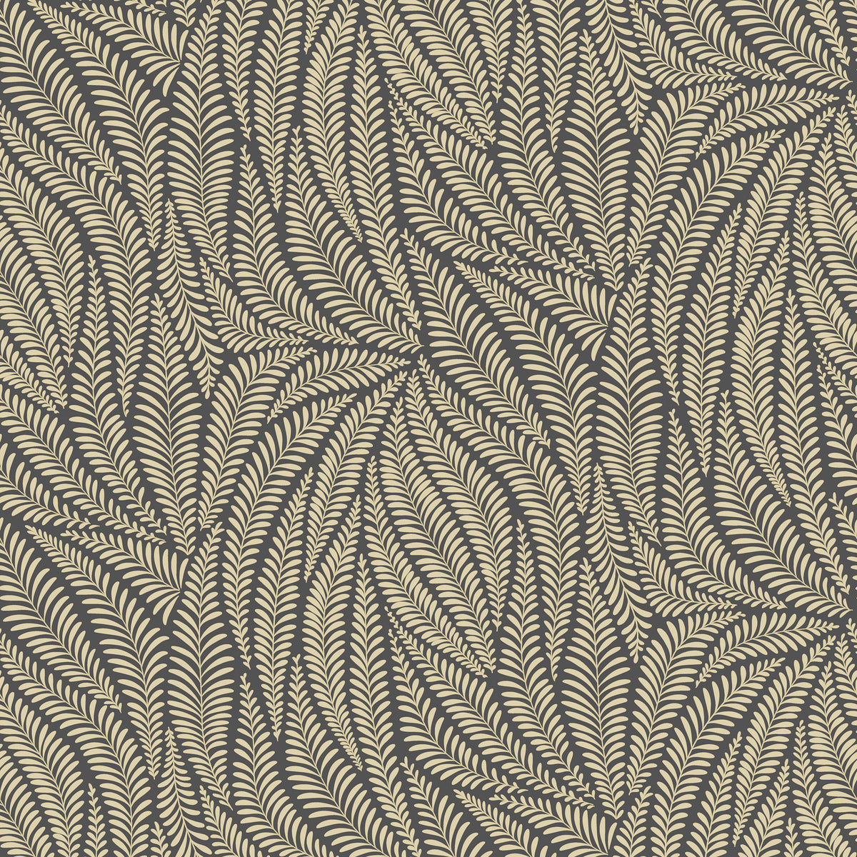 Acacia Pale Gold on Charcoal wallpaper design