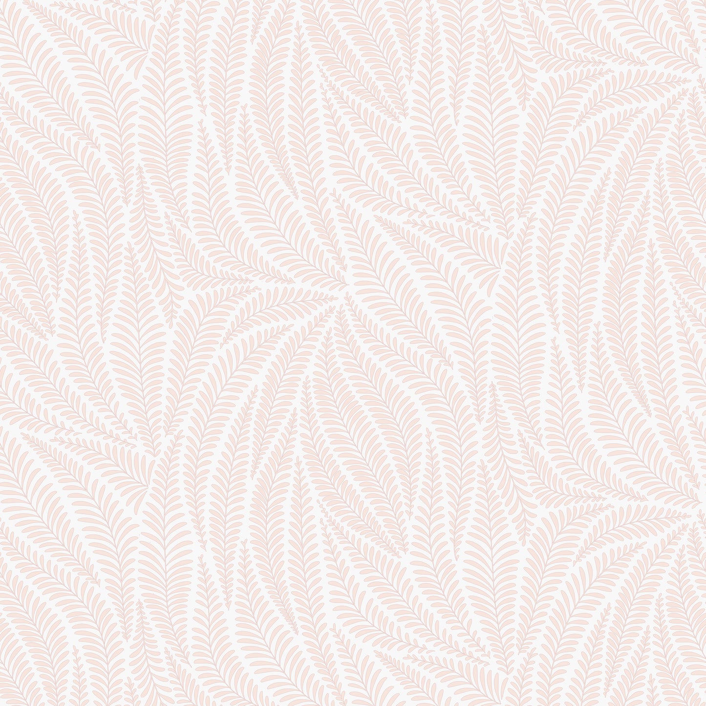 Acacia Soft Peach on Mist Grey Wallpaper