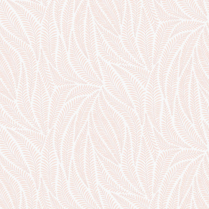 Acacia Soft Peach on Mist Grey Wallpaper