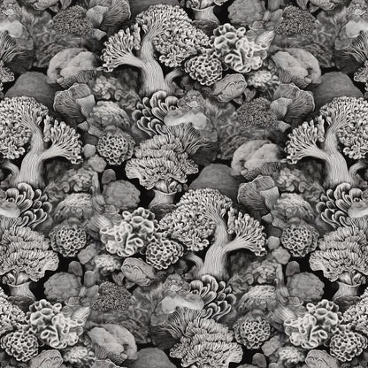 Coralline Black Ink Wallpaper