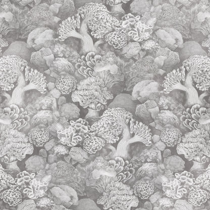 Coralline Smoke Wallpaper