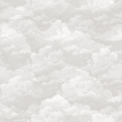 Cumulus Drizzle Wallpaper