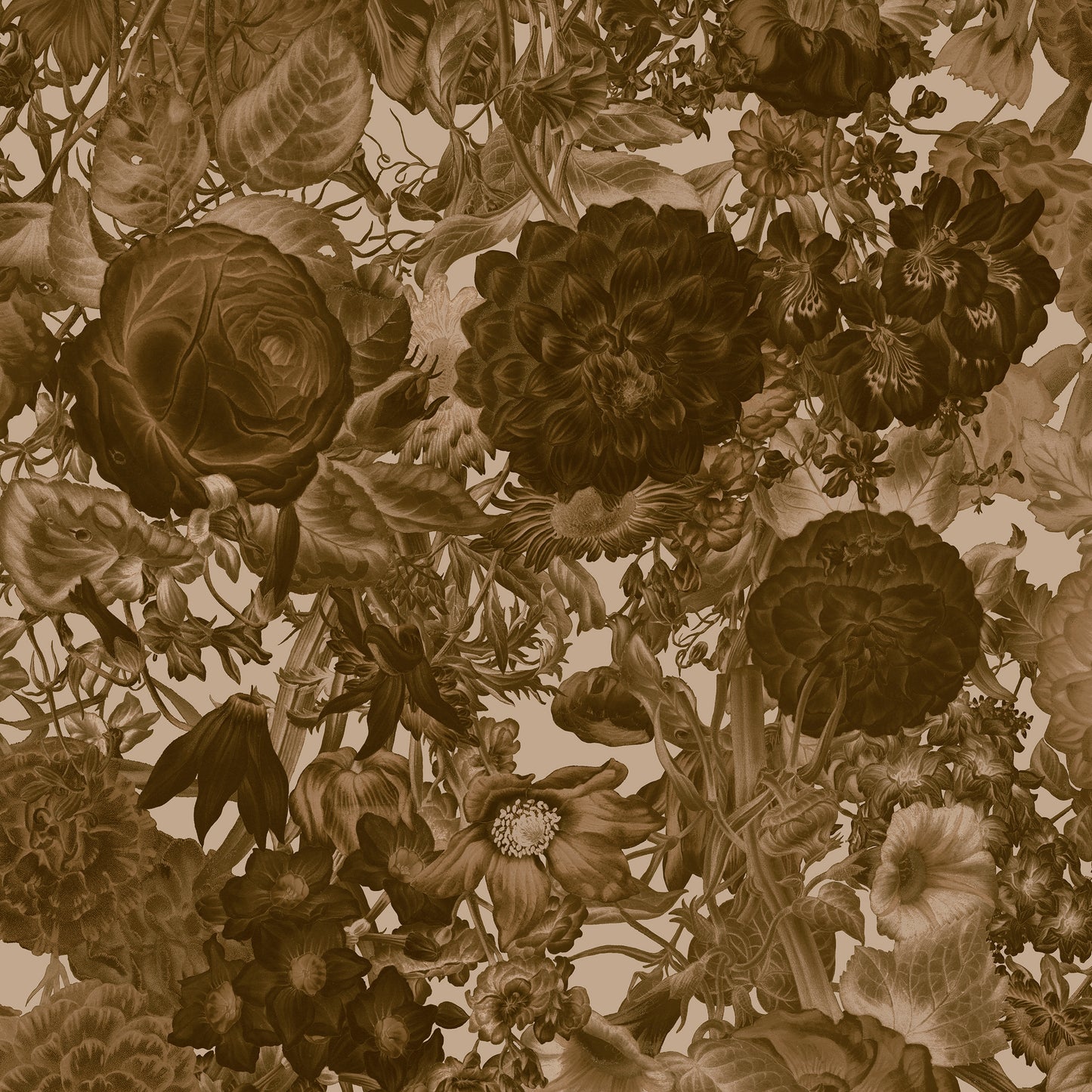 Floribunda Sepia Wallpaper