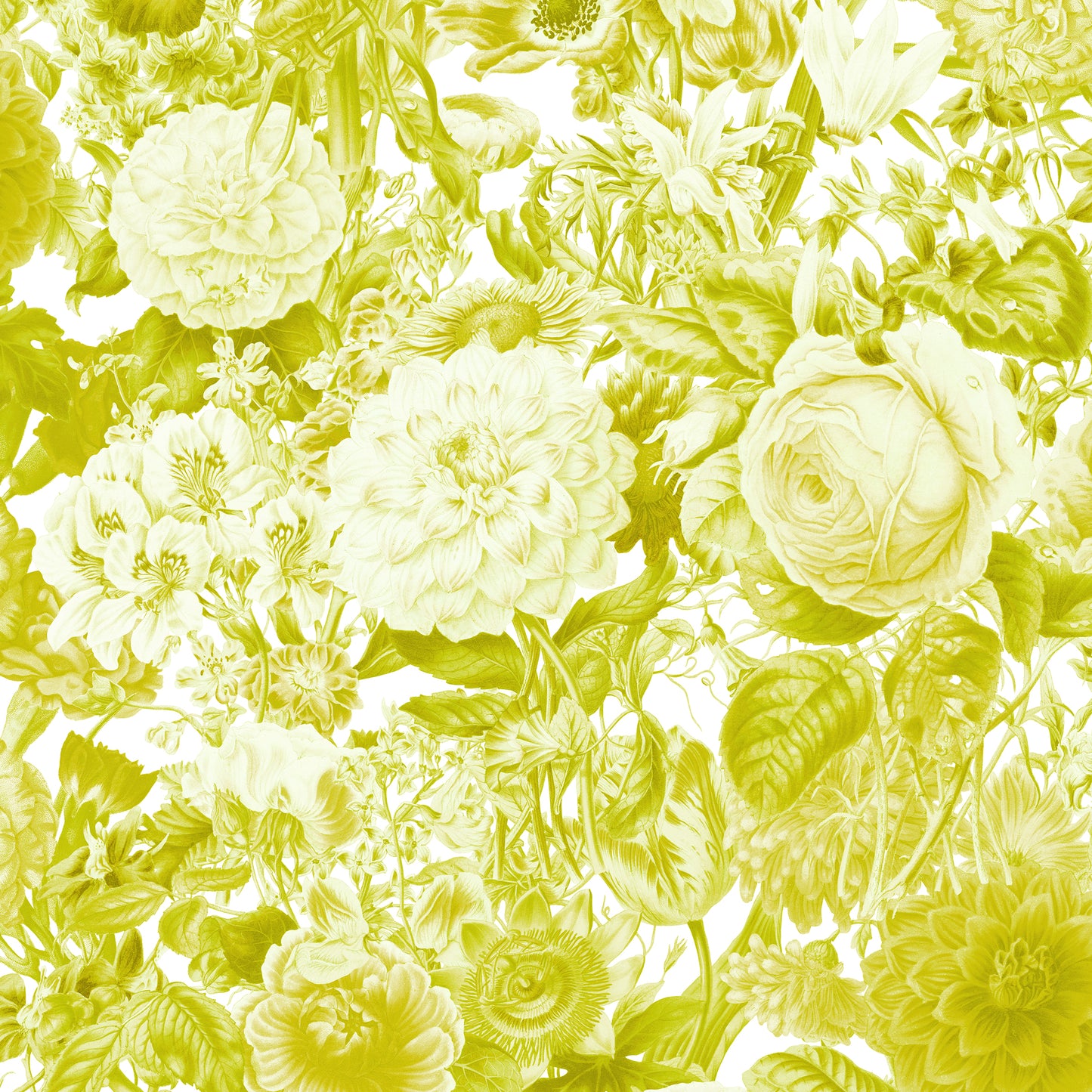 Floribunda Zesty Wallpaper