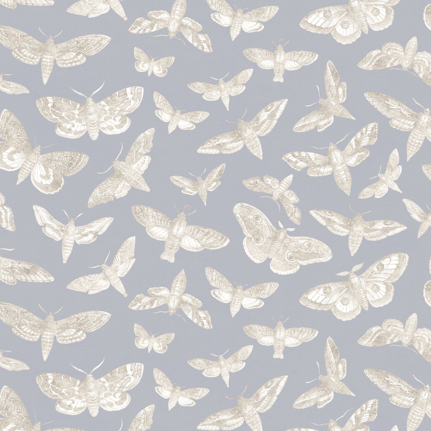 The Lepidopterist Airforce Blue Wallpaper