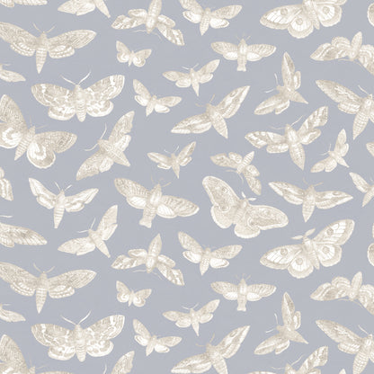 The Lepidopterist Airforce Blue Wallpaper