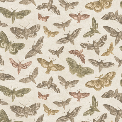 The Lepidopterist Antique Wallpaper