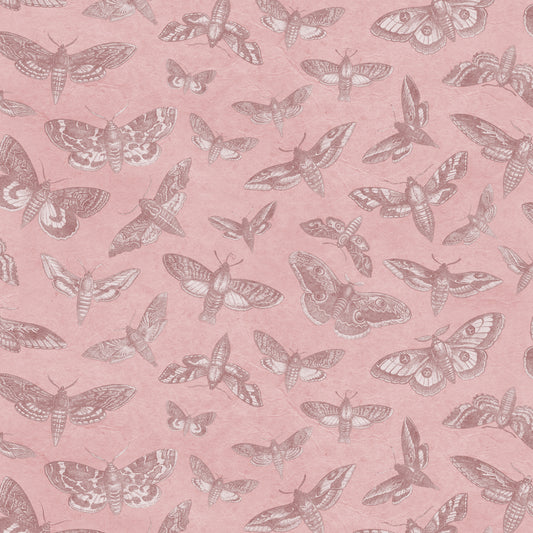 The Lepidopterist Coral Pink Wallpaper