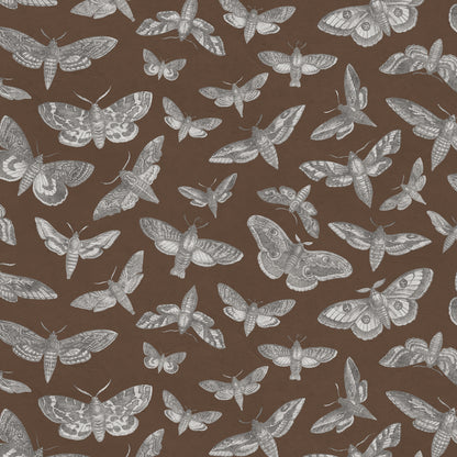 The Lepidopterist Earth Wallpaper