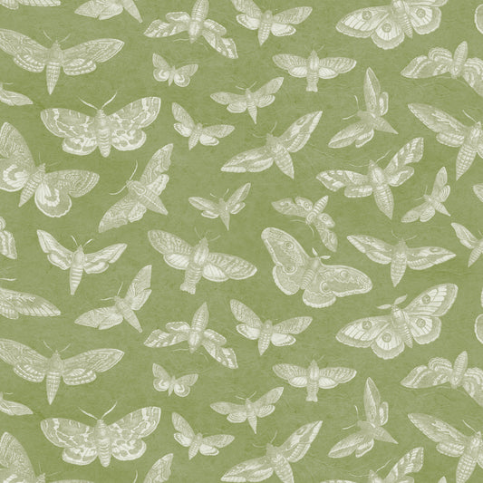 The Lepidopterist Leaf Green Wallpaper