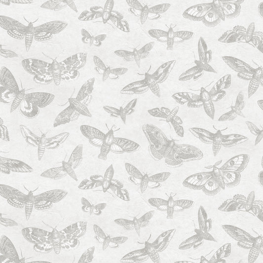 The Lepidopterist Misty Wallpaper