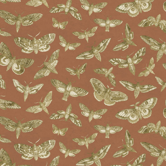 The Lepidopterist Moss on Terracotta Wallpaper