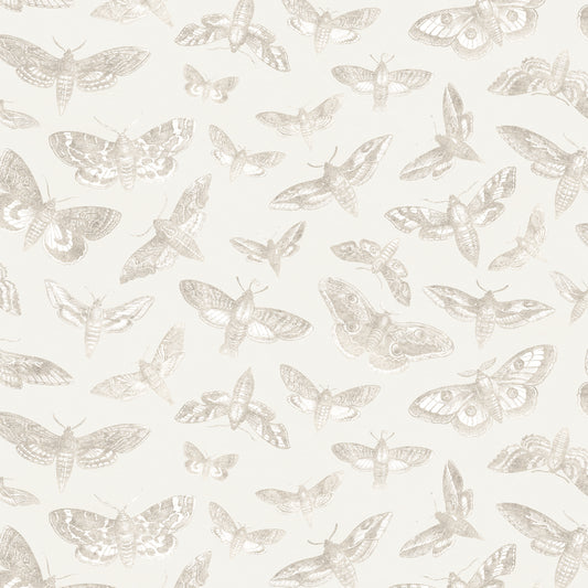 The Lepidopterist Parchment Wallpaper