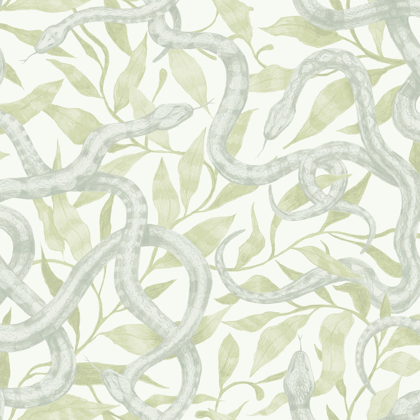 Serpents Soft Teal on Willow Wallpaper