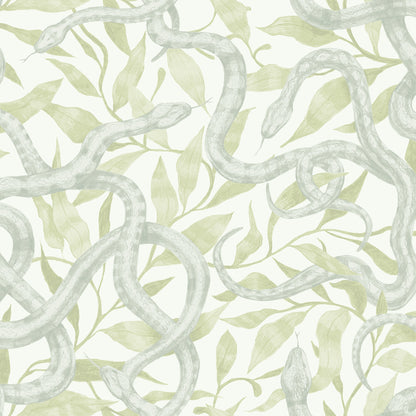 Serpents Soft Teal on Willow Wallpaper