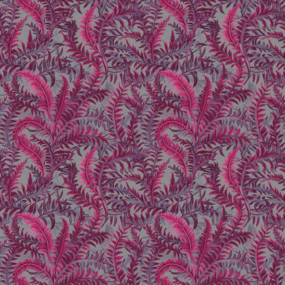 Fernery Pink Shocker Hintergrund 