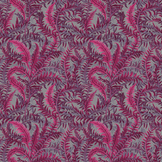 Fernery Pink Shocker Hintergrund 