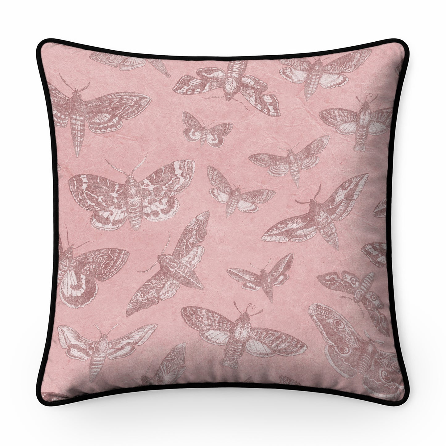 The Lepidopterist Cushion