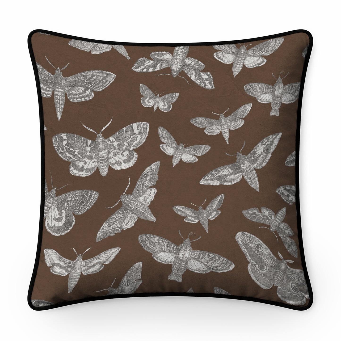 The Lepidopterist Cushion