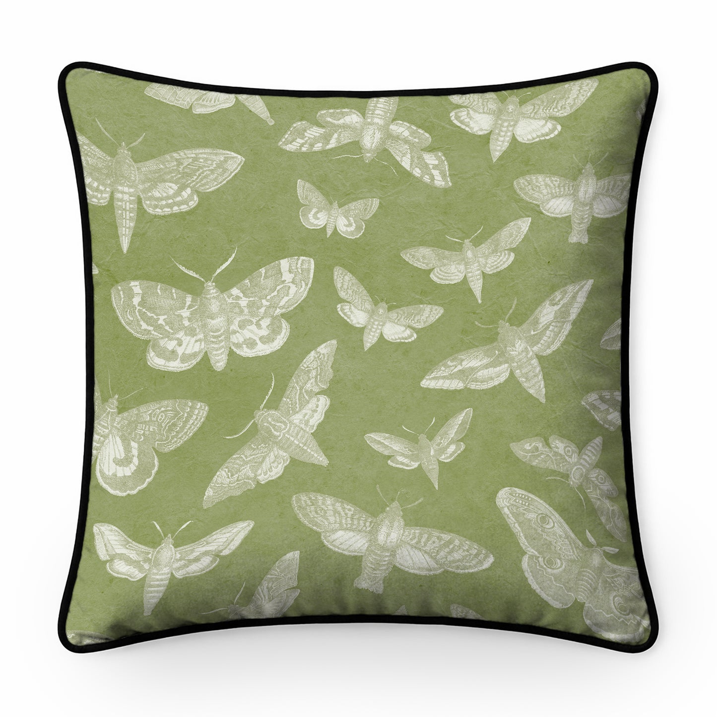 The Lepidopterist Cushion