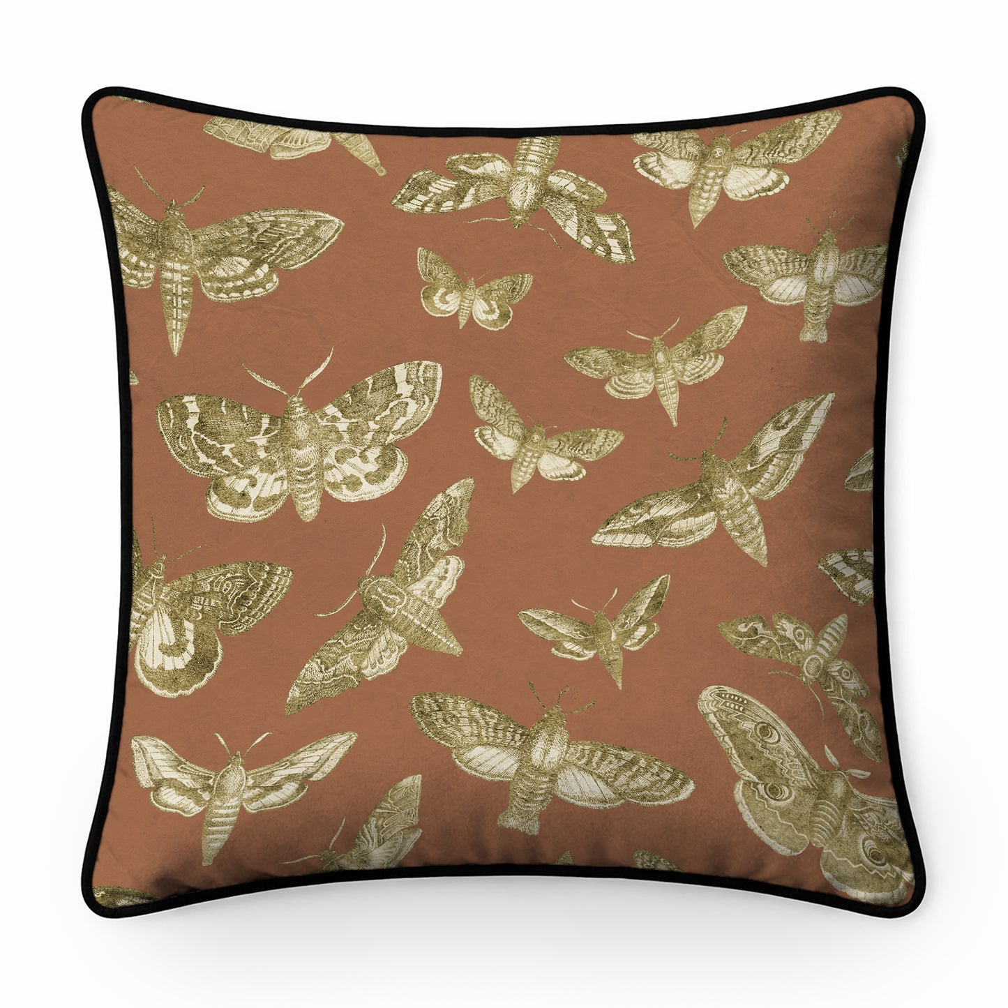 The Lepidopterist Cushion